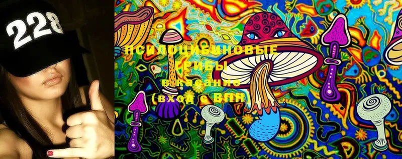 Галлюциногенные грибы Magic Shrooms  Кимры 